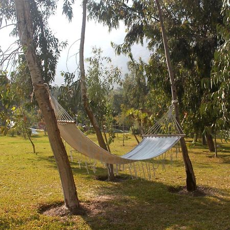 Hotel Los Palomos Lunahuana Bagian luar foto